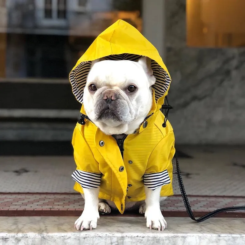 Classic Yellow Raincoat