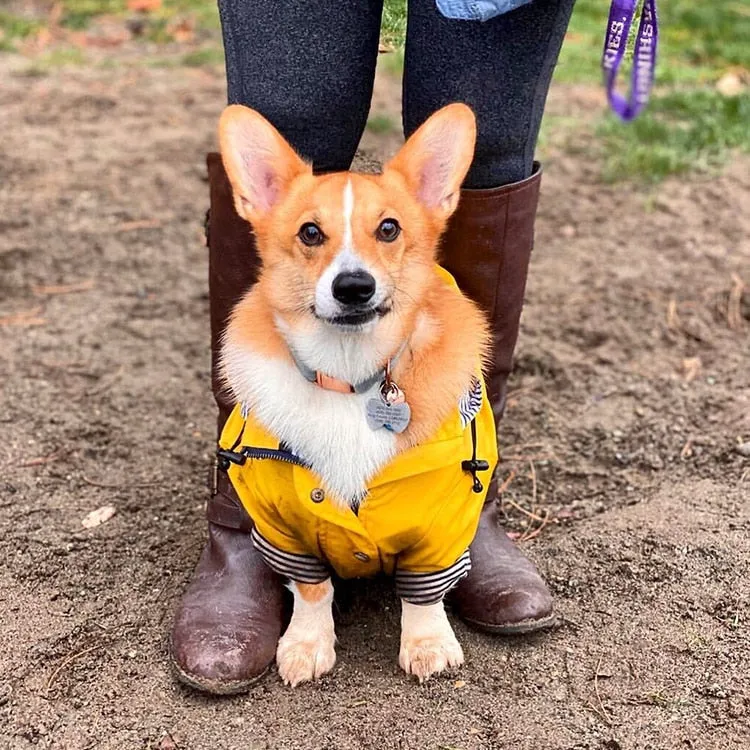 Classic Yellow Raincoat