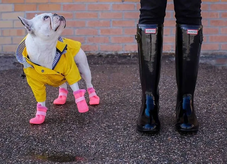 Classic Yellow Raincoat