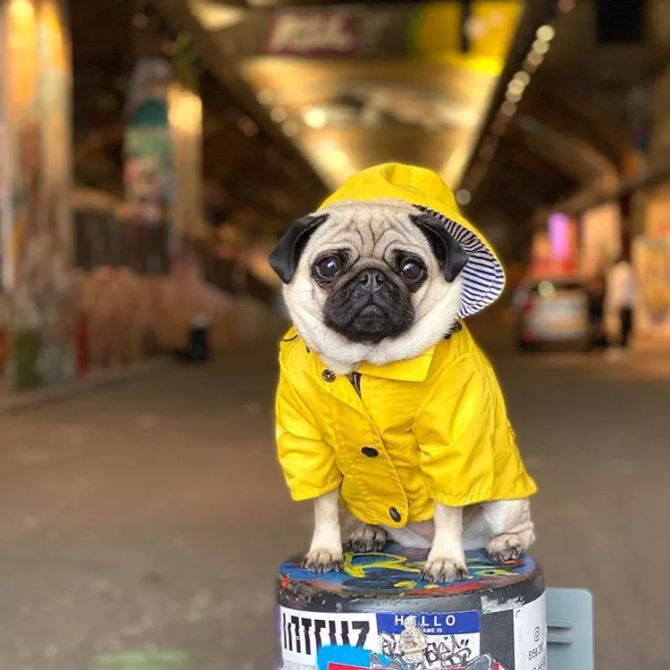 Classic Yellow Raincoat