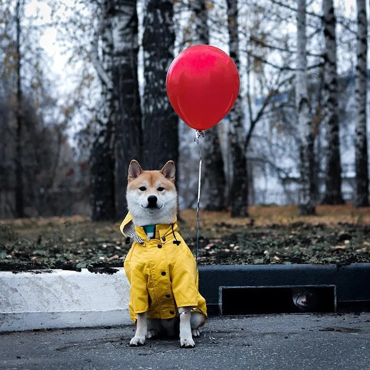 Classic Yellow Raincoat