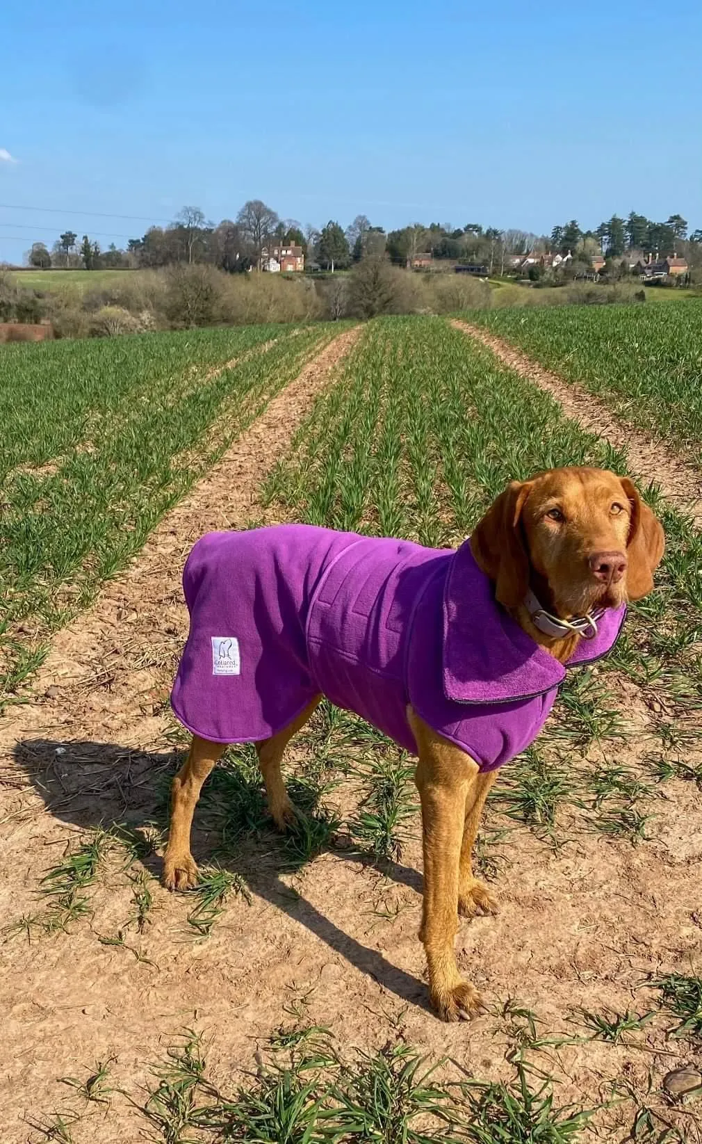 Superior Drying Coat