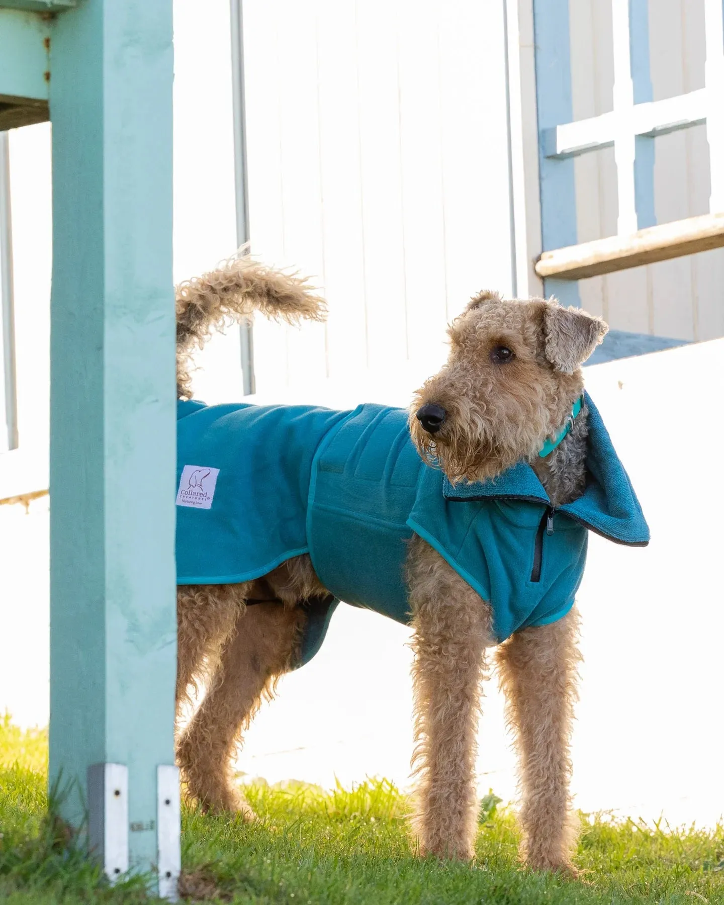 Superior Drying Coat