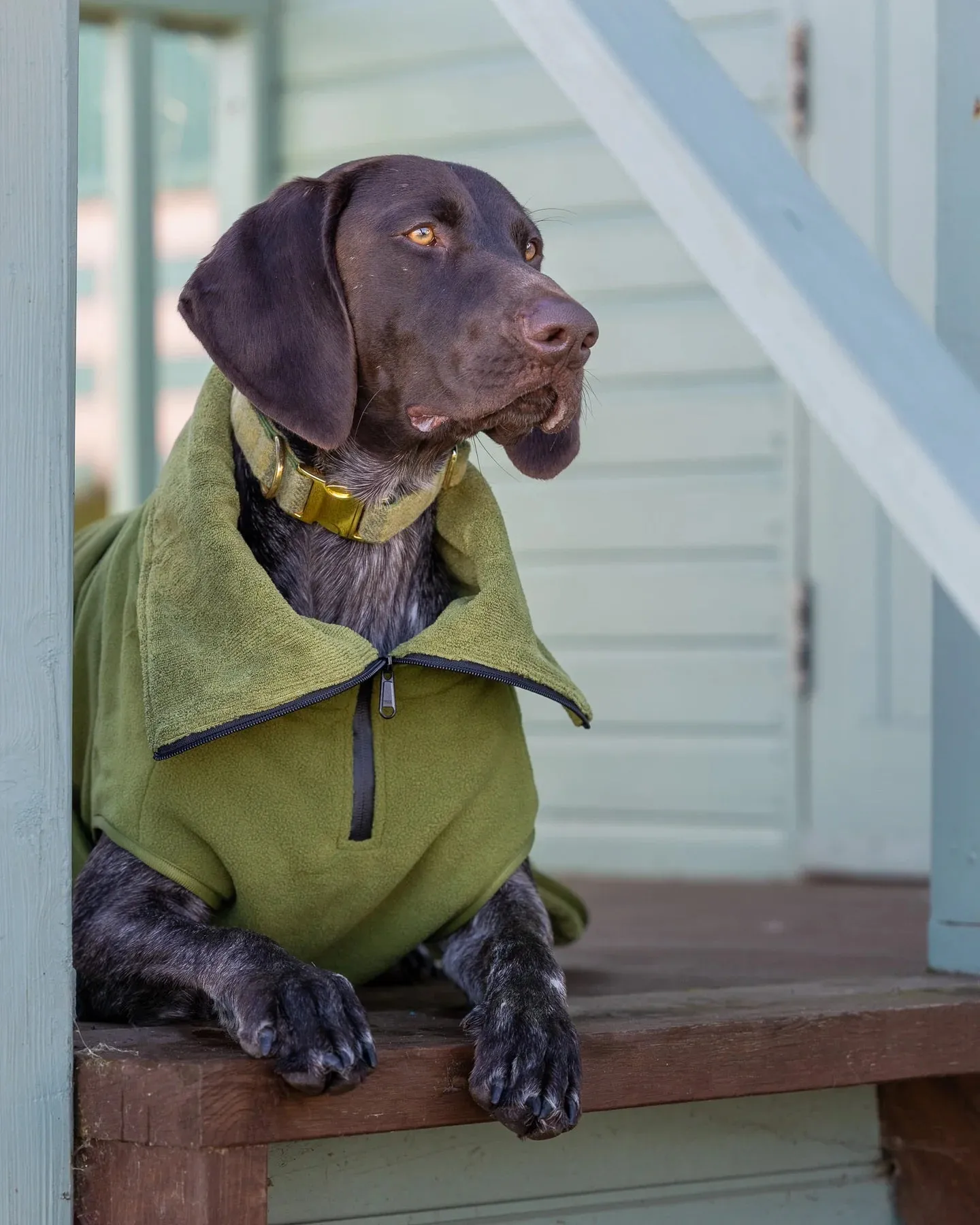 Superior Drying Coat