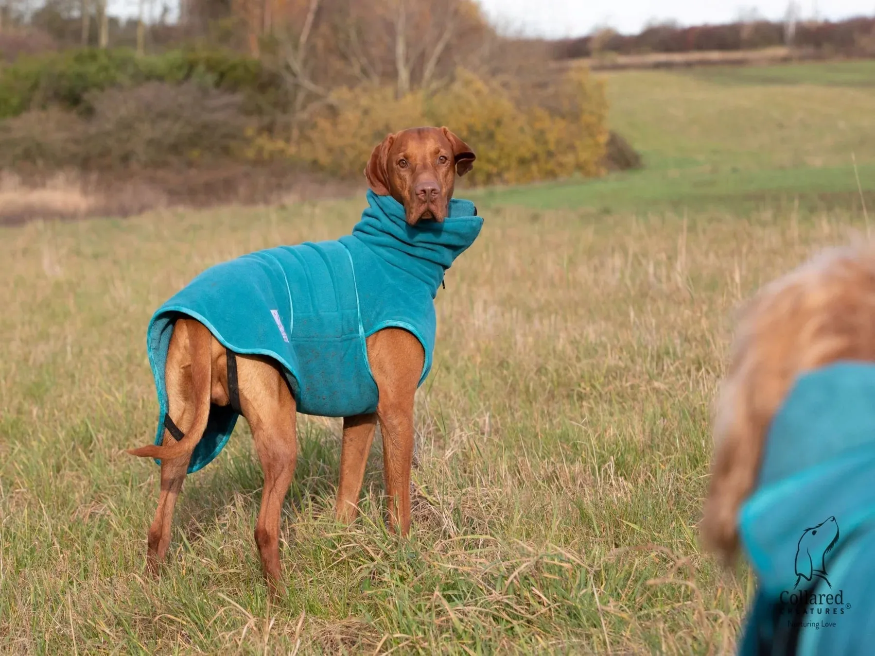 Superior Drying Coat