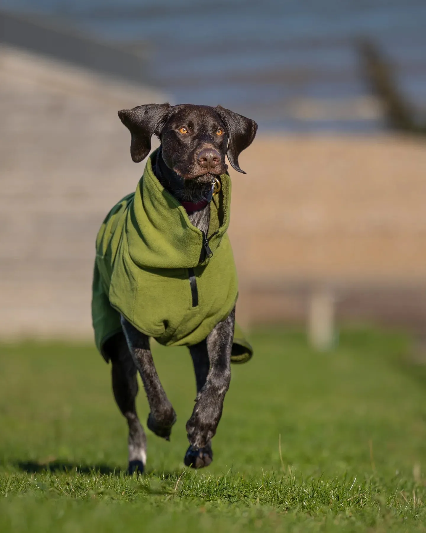 Superior Drying Coat